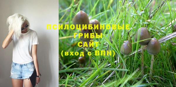 ALPHA PVP Дмитров