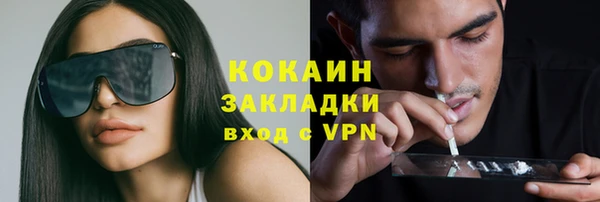 apvp Дмитровск